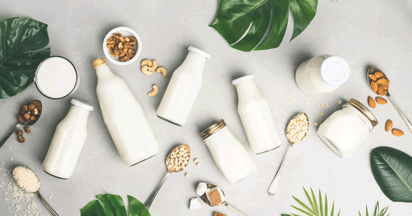 The 6 Best Alternatives To Milk For Vegan Diets - Longdan Official