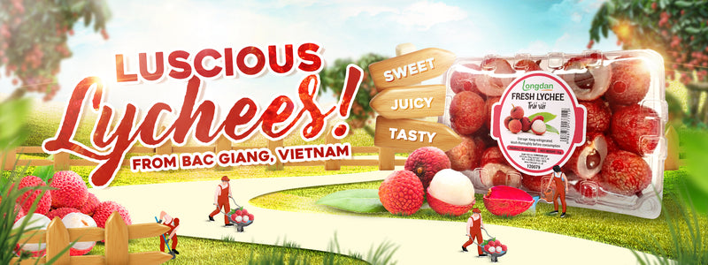Lychee Dreams: Bac Giang's Delicate Fruit Casts A Spell Of Pure Delight!