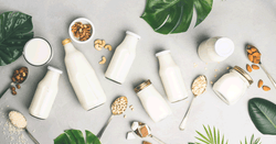 The 6 Best Alternatives To Milk For Vegan Diets - Longdan Official