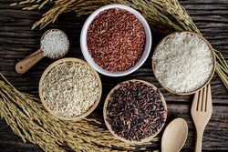 The Rice Varieties – Which One Is Better? - Longdan Official