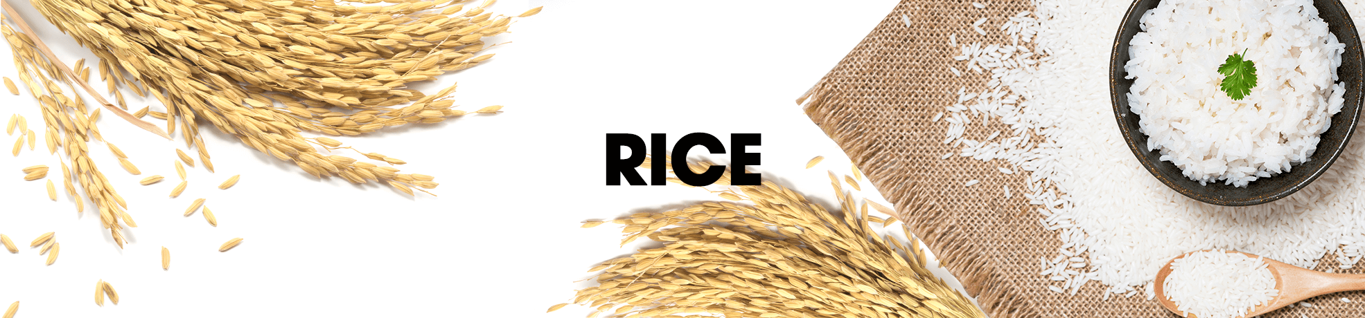 The Best Rice