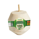 Longdan Young Coconut (Case 9) - Longdan Official