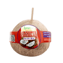 Longdan Matured Coconut - Longdan Official