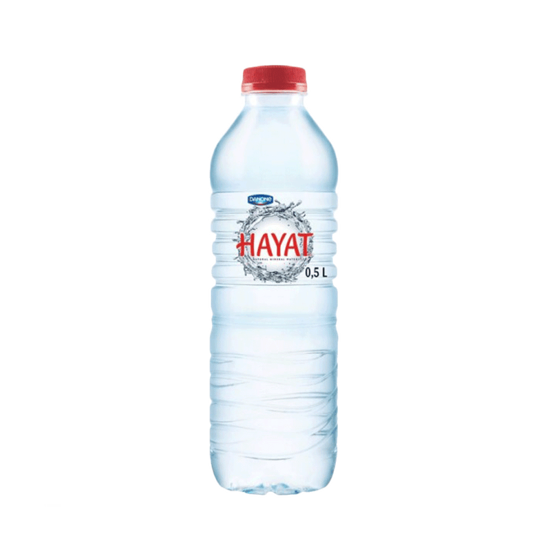 DANONE HAYAT Mineral Water 500ml