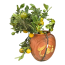 Kumquat Plant Small (Cay Quat Chum)