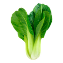 Green Pak Choi Spain 300G