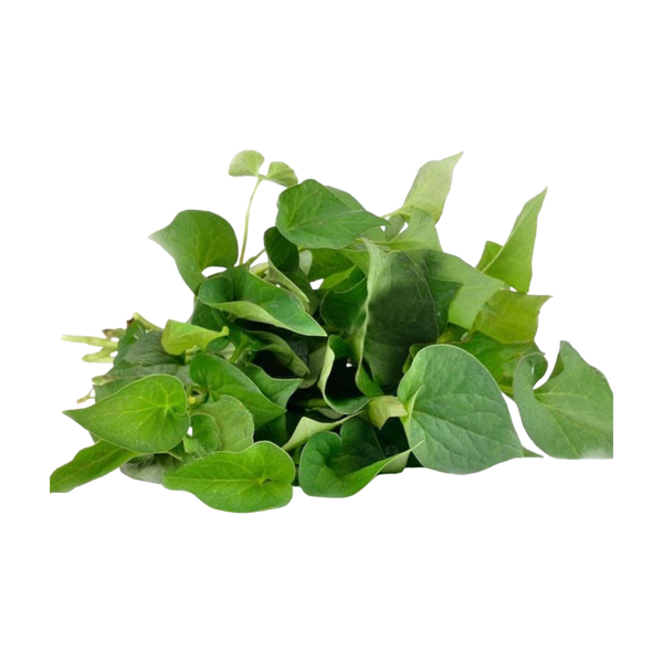 Fish Mint (Rau Dap Ca) 100G