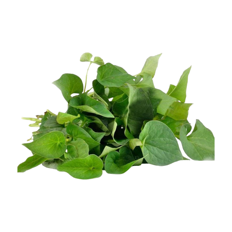 Fish Mint (Rau Dap Ca) 100G Fish Mint (Rau Dap Ca) 100G