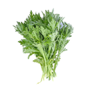 Ngải cứu (Ngải cứu) 100g