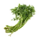 Water Celery (Can Nuoc) 200g