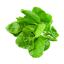 Ceylon Spinach (Mong Toi) 200G