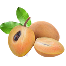 Sapodilla (Sampoche VN)