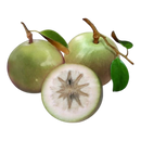 Star Apple (Vu Sua)