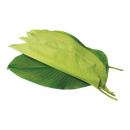 龙丹侗叶 (La dong) 1kg