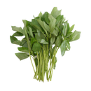 Tossa Đay (Rau Day) 200G