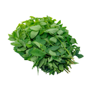 Sauropus (Cho Ngọt) 200G