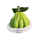 Green Buddha's Hand (Phat Thu)