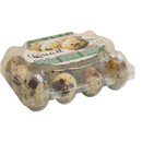 Quail Eggs Pack 12