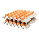 Fresh Eggs ( Medium )