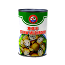 BROTHER HOOD Straw Mushroom Halves 425g (Case 24)