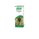 A. VOGEL Plantago lanceolata Oral Drops 50ML - Longdan Official