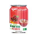 THANH CONG VINA Red Grape Juice With Pulp 250ml