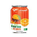 THANH CONG VINA Orange Juice With Pulp 250ml
