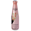 MEGACHEF Fermented Anchovy Sauce 300ml (Case 12)