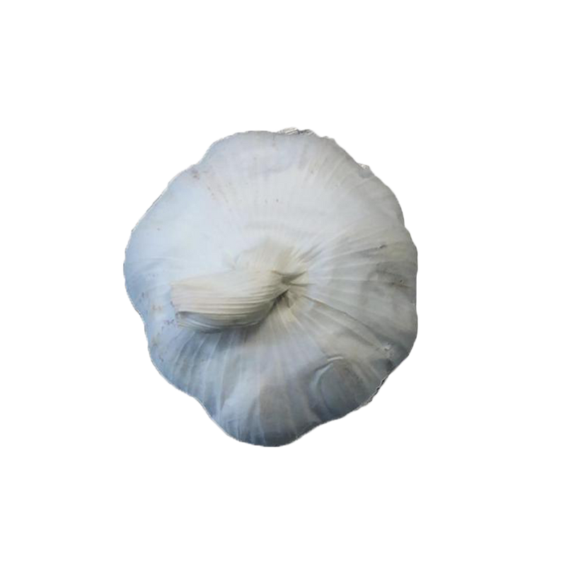 Garlic 1 piece - Longdan Official Online Store