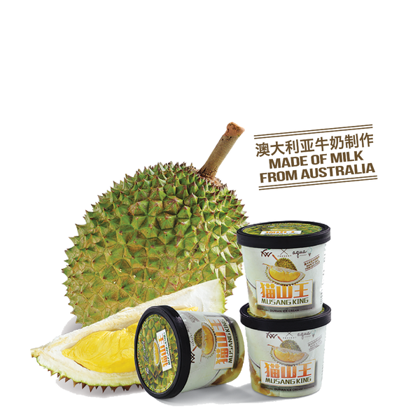 FOODWORTH Musang King Durian Cream 100ml (Frozen) - Longdan Official Online Store