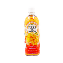 POKKA Mango Tea 500Ml - Longdan Official