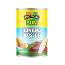 TROPICAL SUN Banana Blossom In Water 400G - Longdan Official