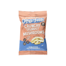 OTHER FOODS Crunchy Trumpet Mushroom Chips 40g - Longdan Official