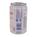 Jia Jia Chrysanthemum Tea 300ml - Longdan Online Supermarket