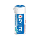 LOTTE Xylitol Fresh Mint 29g - Longdan Official Online Store