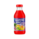 TROPICAL VIBES Exotic Fruits 300ml - Longdan Official