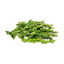 Green Peppercorn (Tieu Xanh) 100g - Longdan Online Supermarket