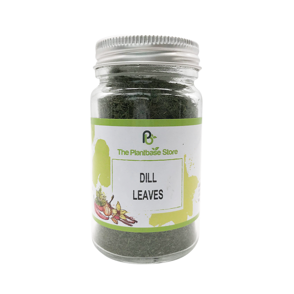 The Plantbase Store Dill Leaves 20g - Longdan Official Online Store
