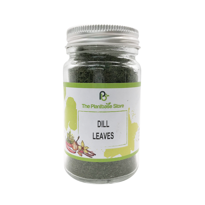 The Plantbase Store Dill Leaves 20g - Longdan Official Online Store