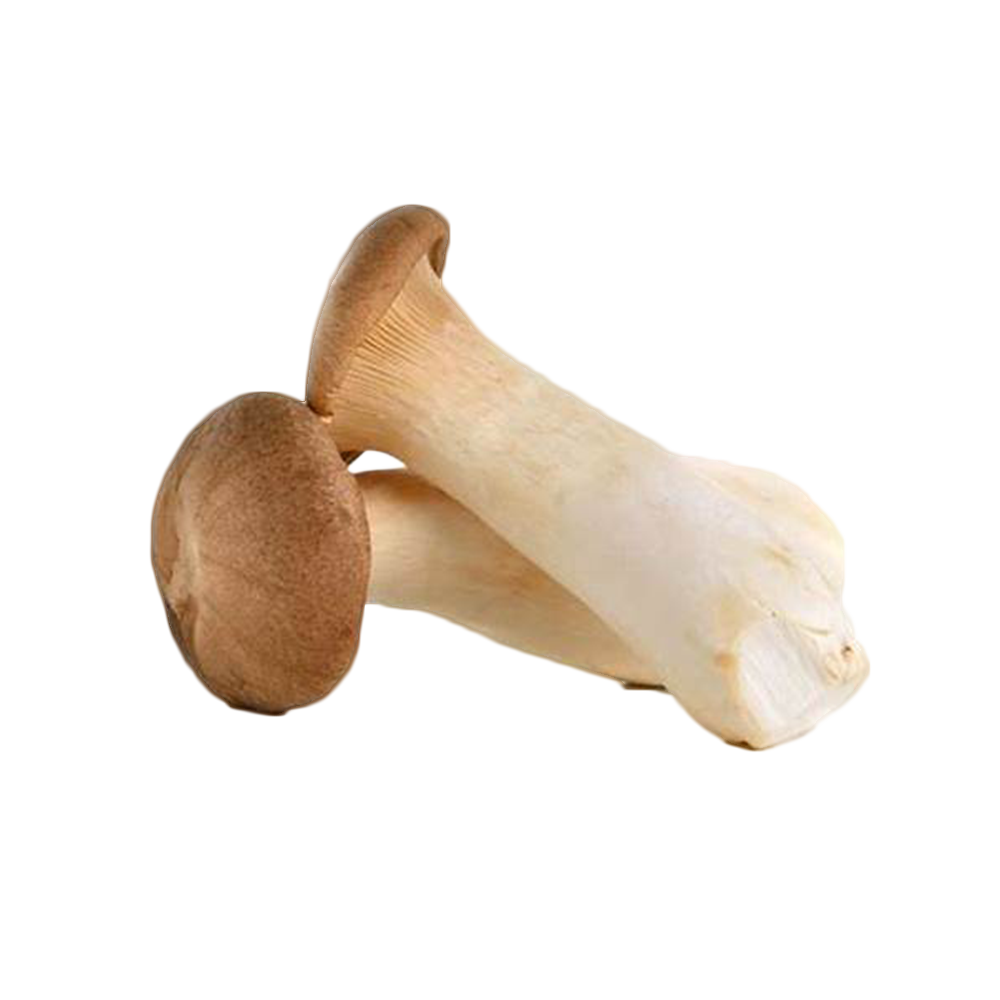 King Oyster 200g - Longdan Online Supermarket
