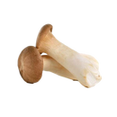 King Oyster 200g - Longdan Online Supermarket